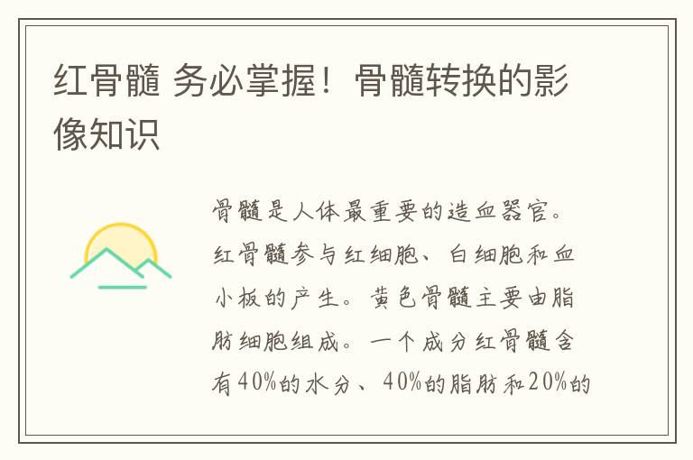 红骨髓 务必掌握！骨髓转换的影像知识