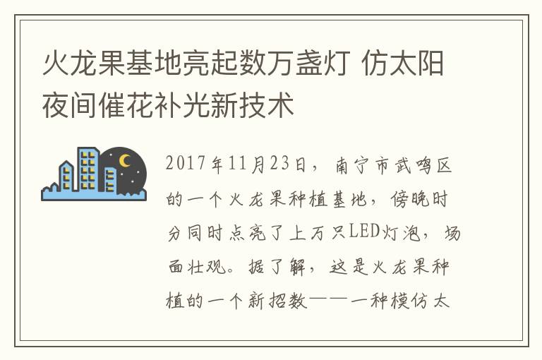火龙果基地亮起数万盏灯 仿太阳夜间催花补光新技术