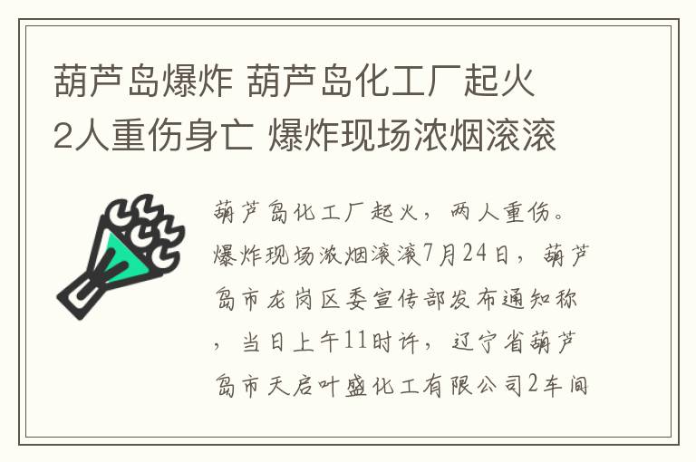 葫芦岛爆炸 葫芦岛化工厂起火 2人重伤身亡 爆炸现场浓烟滚滚