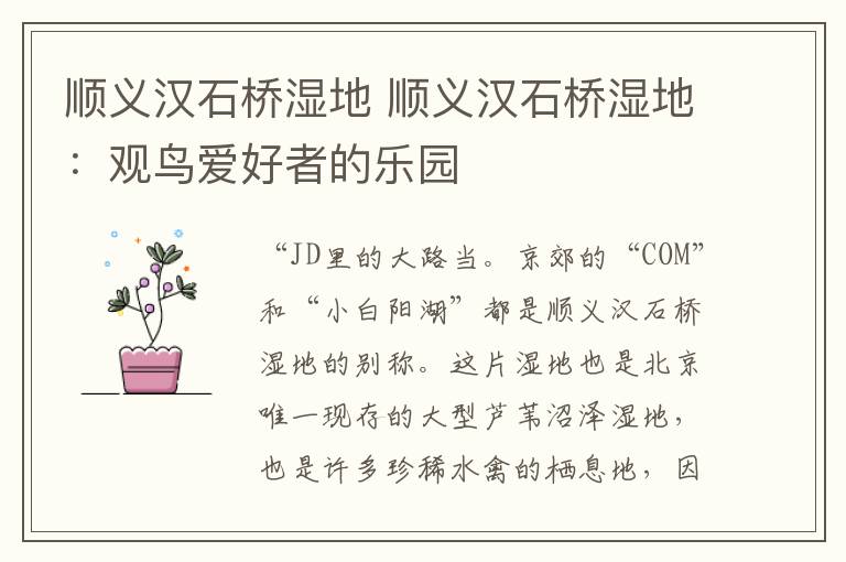 顺义汉石桥湿地 顺义汉石桥湿地：观鸟爱好者的乐园
