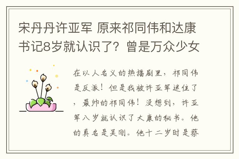 宋丹丹许亚军 原来祁同伟和达康书记8岁就认识了？曾是万众少女心中的白马王子