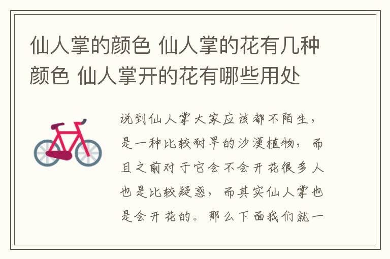 仙人掌的颜色 仙人掌的花有几种颜色 仙人掌开的花有哪些用处