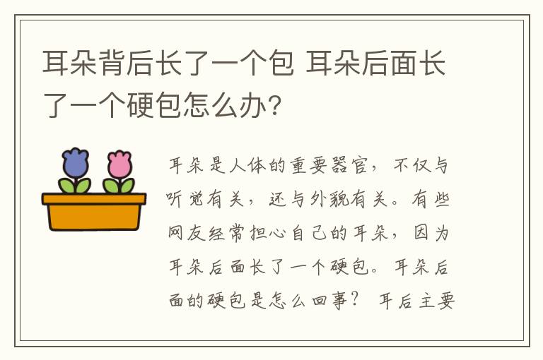 耳朵背后长了一个包 耳朵后面长了一个硬包怎么办?