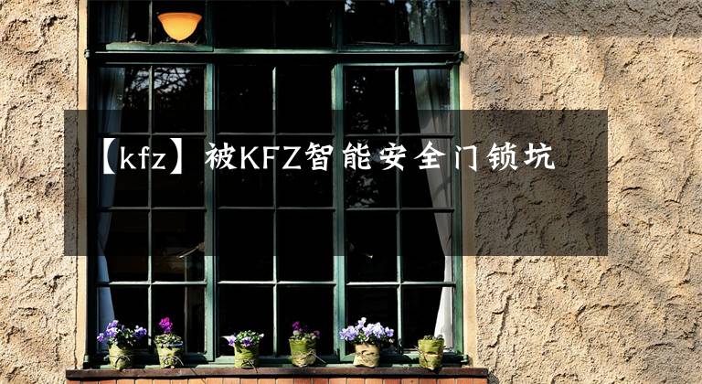 【kfz】被KFZ智能安全门锁坑