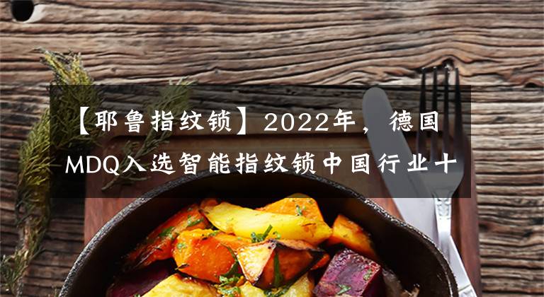 【耶鲁指纹锁】2022年，德国MDQ入选智能指纹锁中国行业十大品牌称号