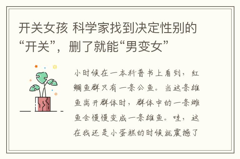 开关女孩 科学家找到决定性别的“开关”，删了就能“男变女”
