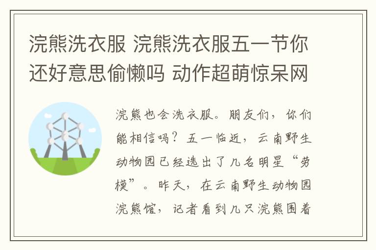 浣熊洗衣服 浣熊洗衣服五一节你还好意思偷懒吗 动作超萌惊呆网友