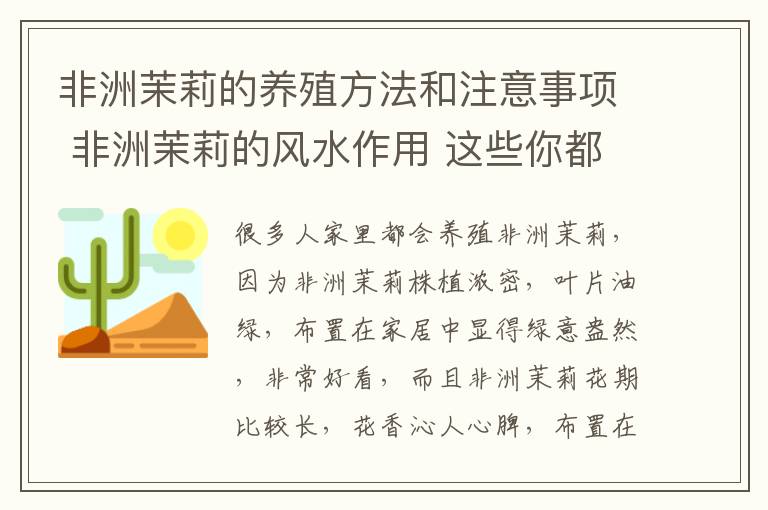 非洲茉莉的养殖方法和注意事项 非洲茉莉的风水作用 这些你都知道吗?