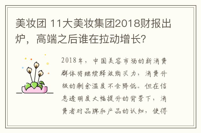 美妆团 11大美妆集团2018财报出炉，高端之后谁在拉动增长？