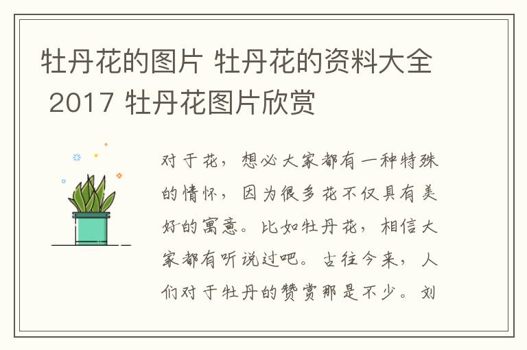 牡丹花的图片 牡丹花的资料大全 2017 牡丹花图片欣赏