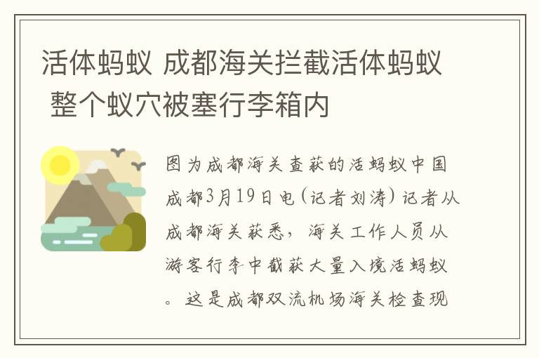 活体蚂蚁 成都海关拦截活体蚂蚁 整个蚁穴被塞行李箱内