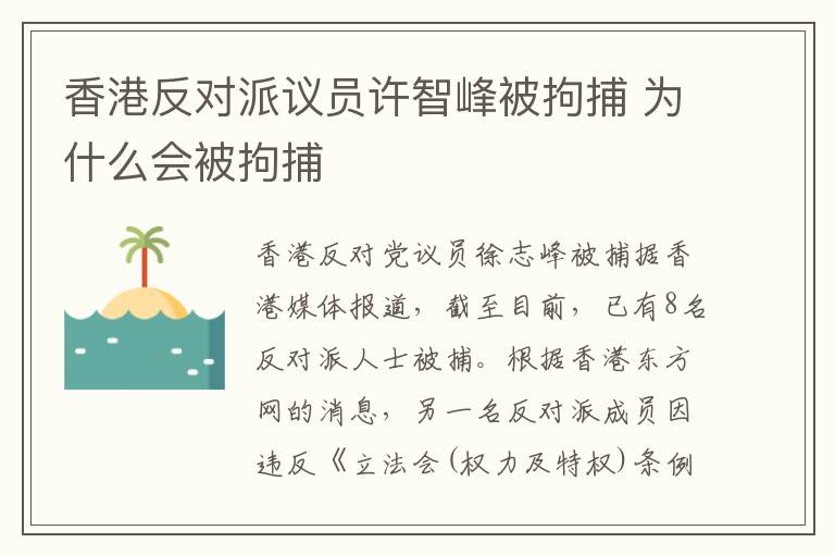 香港反对派议员许智峰被拘捕 为什么会被拘捕