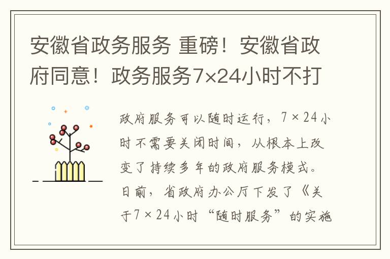 安徽省政务服务 重磅！安徽省政府同意！政务服务7×24小时不打烊“随时办”！