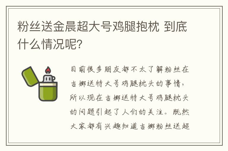 粉丝送金晨超大号鸡腿抱枕 到底什么情况呢？