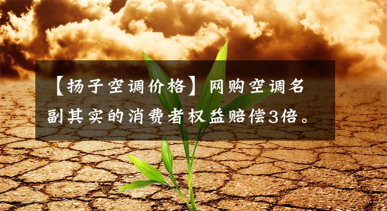 【扬子空调价格】网购空调名副其实的消费者权益赔偿3倍。