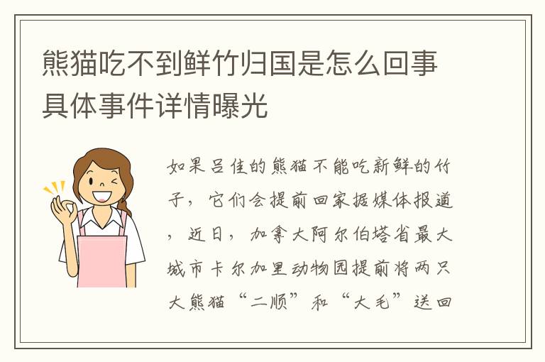 熊猫吃不到鲜竹归国是怎么回事具体事件详情曝光
