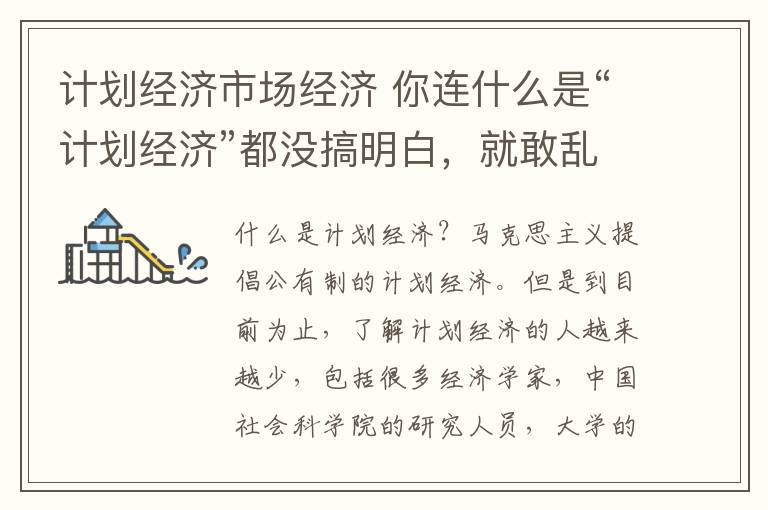 计划经济市场经济 你连什么是“计划经济”都没搞明白，就敢乱喷？！