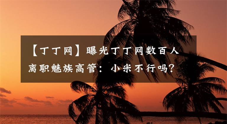 【丁丁网】曝光丁丁网数百人离职魅族高管：小米不行吗？|黑马早报