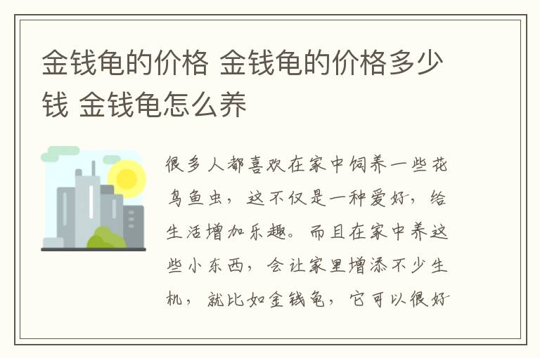 金钱龟的价格 金钱龟的价格多少钱 金钱龟怎么养