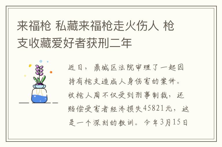 来福枪 私藏来福枪走火伤人 枪支收藏爱好者获刑二年