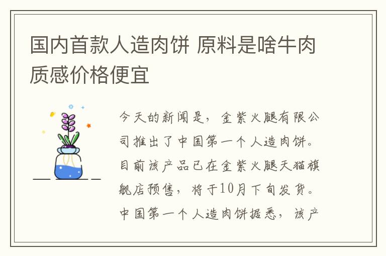 国内首款人造肉饼 原料是啥牛肉质感价格便宜