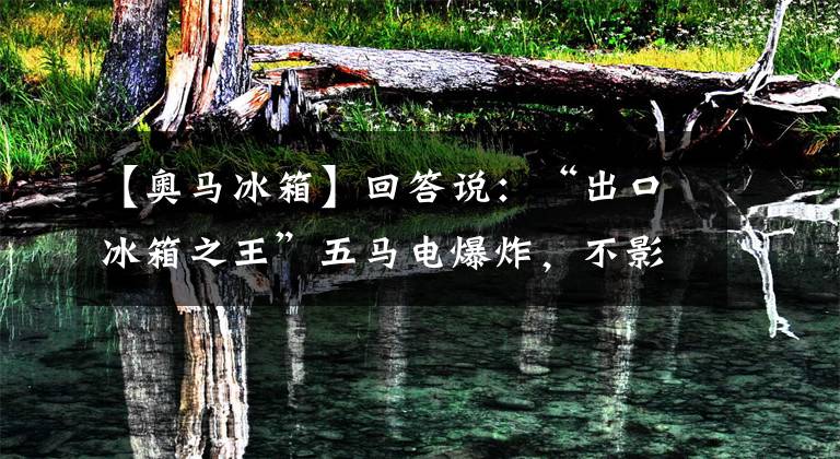 【奥马冰箱】回答说：“出口冰箱之王”五马电爆炸，不影响TCL邀请收购。