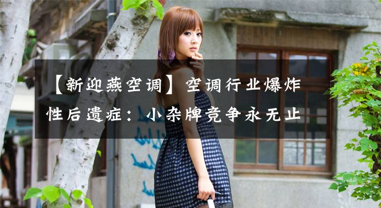 【新迎燕空调】空调行业爆炸性后遗症：小杂牌竞争永无止境，市长/市场洗牌再次来袭！