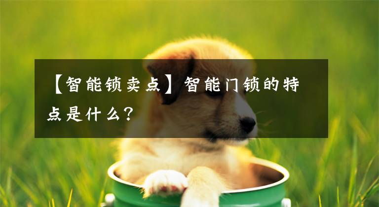 【智能锁卖点】智能门锁的特点是什么？