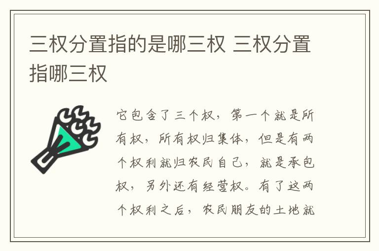 三权分置指的是哪三权 三权分置指哪三权