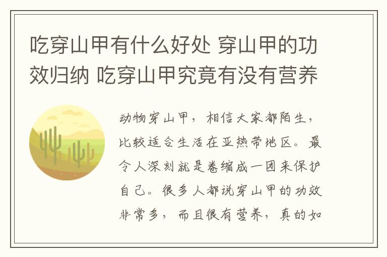 吃穿山甲有什么好处 穿山甲的功效归纳 吃穿山甲究竟有没有营养