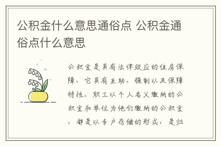 公积金什么意思通俗点 公积金通俗点什么意思