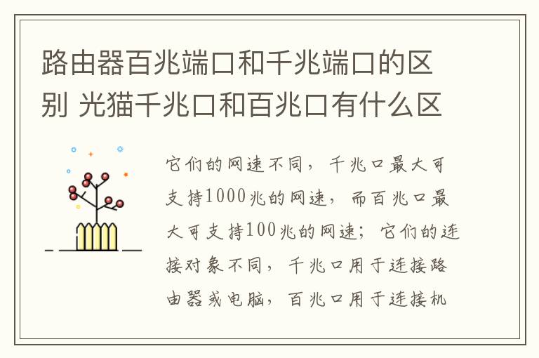 路由器百兆端口和千兆端口的区别 光猫千兆口和百兆口有什么区别