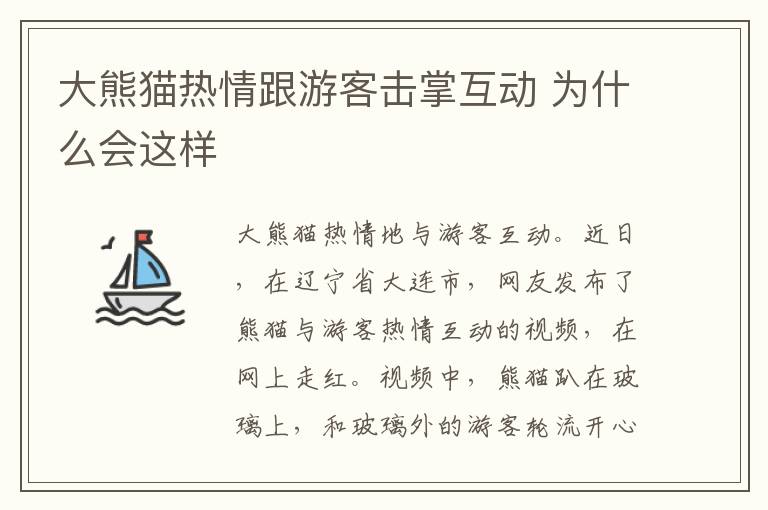 大熊猫热情跟游客击掌互动 为什么会这样