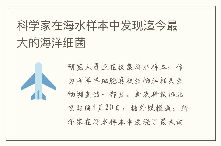 科学家在海水样本中发现迄今最大的海洋细菌