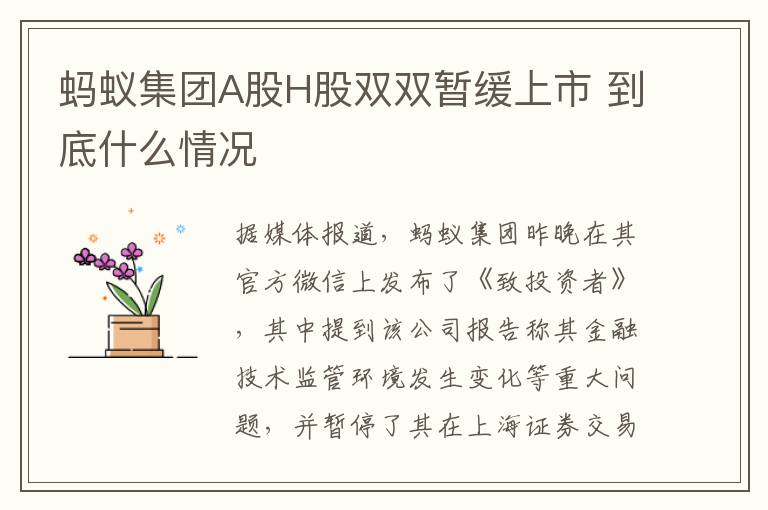 蚂蚁集团A股H股双双暂缓上市 到底什么情况