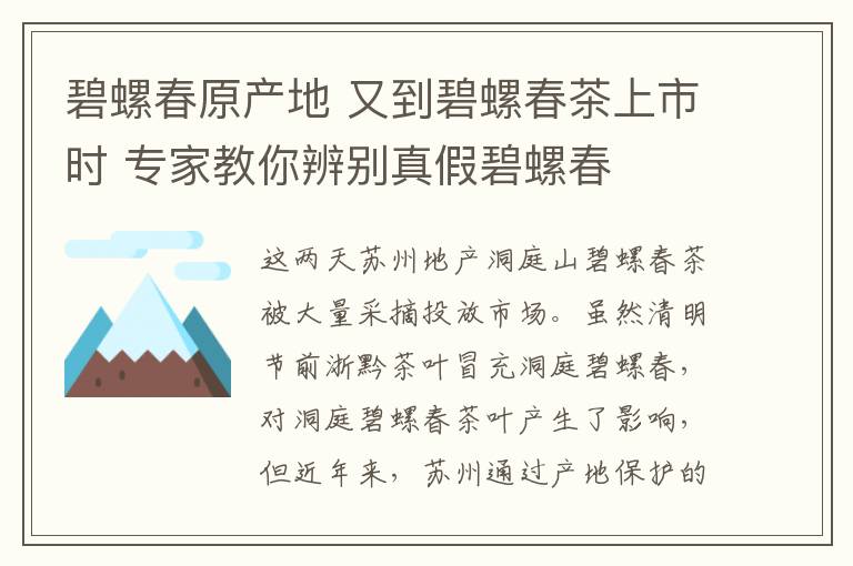 碧螺春原产地 又到碧螺春茶上市时 专家教你辨别真假碧螺春