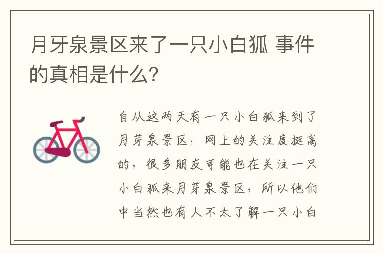 月牙泉景区来了一只小白狐 事件的真相是什么？