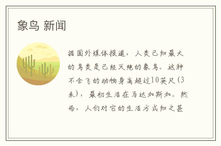 象鸟 新闻