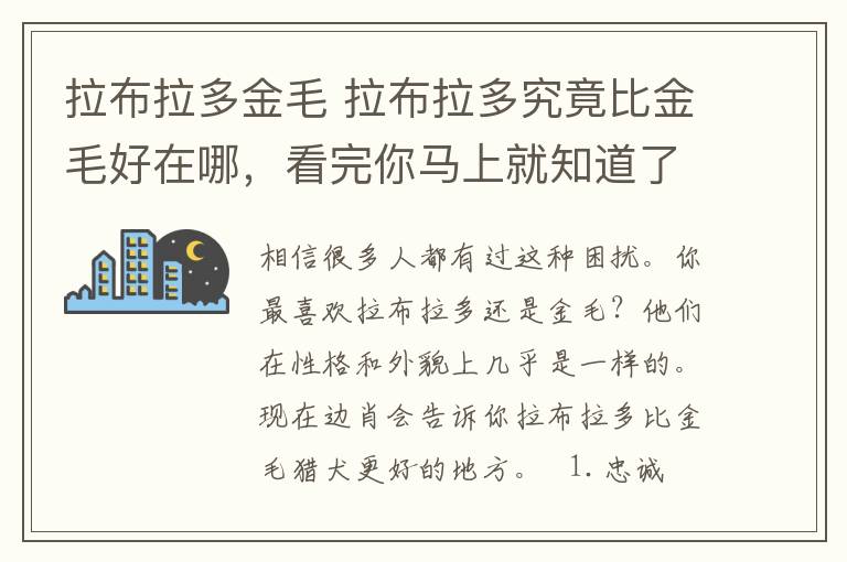 拉布拉多金毛 拉布拉多究竟比金毛好在哪，看完你马上就知道了！