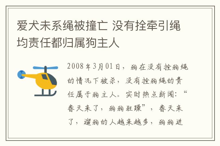 爱犬未系绳被撞亡 没有拴牵引绳均责任都归属狗主人