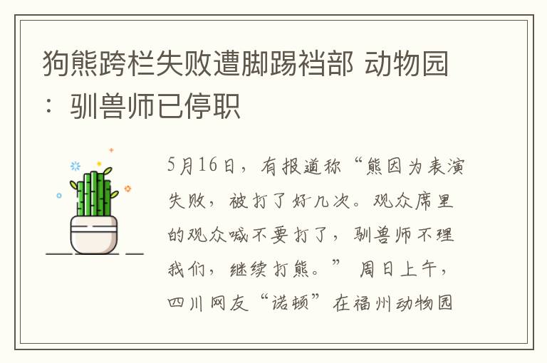 狗熊跨栏失败遭脚踢裆部 动物园：驯兽师已停职