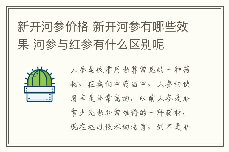 新开河参价格 新开河参有哪些效果 河参与红参有什么区别呢