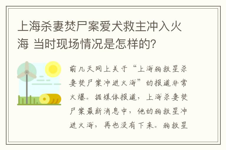 上海杀妻焚尸案爱犬救主冲入火海 当时现场情况是怎样的？