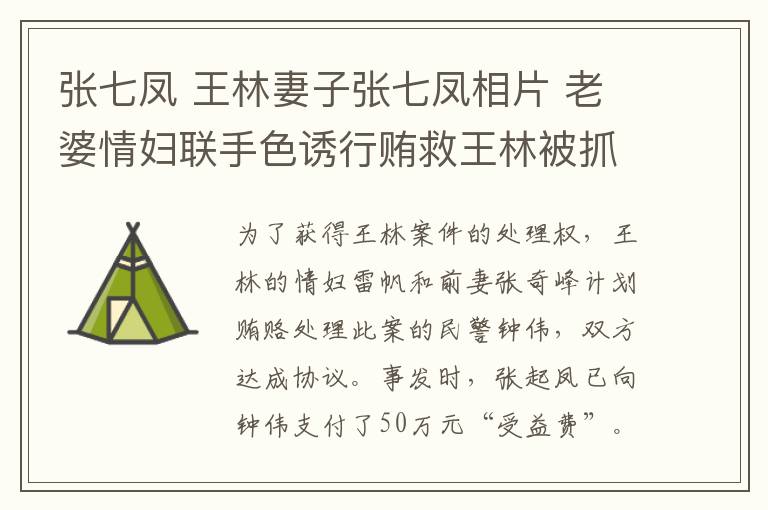 张七凤 王林妻子张七凤相片 老婆情妇联手色诱行贿救王林被抓