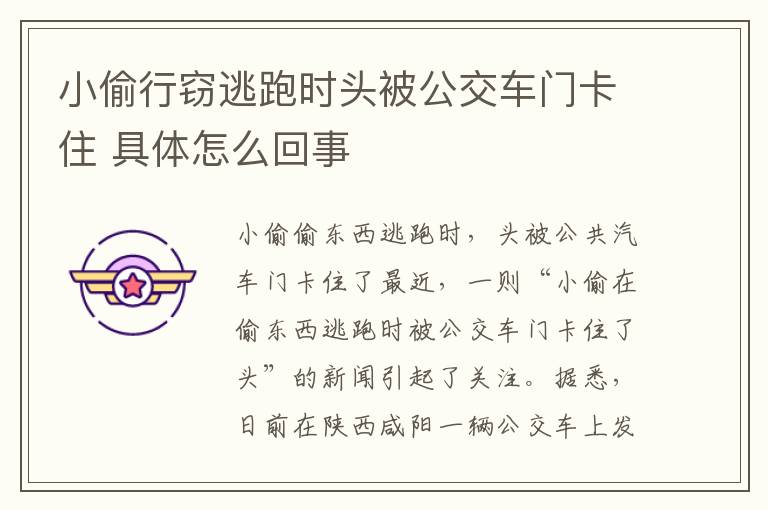 小偷行窃逃跑时头被公交车门卡住 具体怎么回事