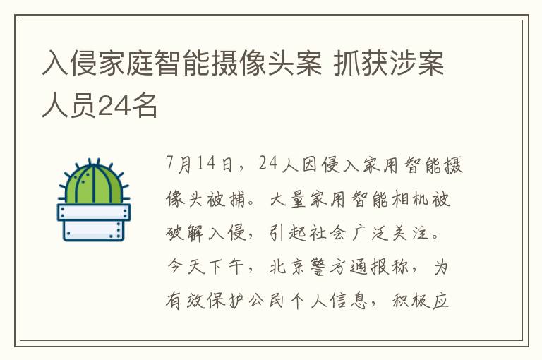 入侵家庭智能摄像头案 抓获涉案人员24名