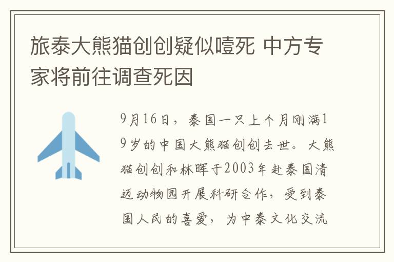 旅泰大熊猫创创疑似噎死 中方专家将前往调查死因