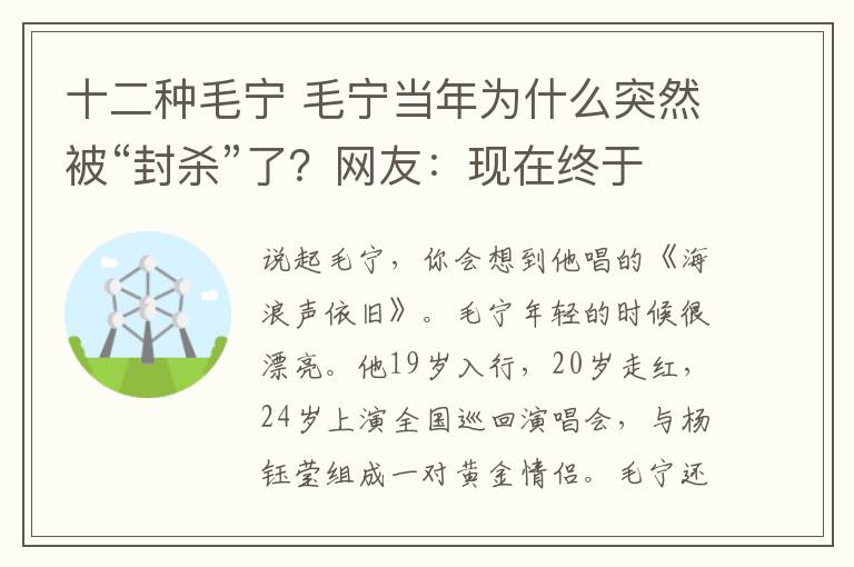 十二种毛宁 毛宁当年为什么突然被“封杀”了？网友：现在终于知道了