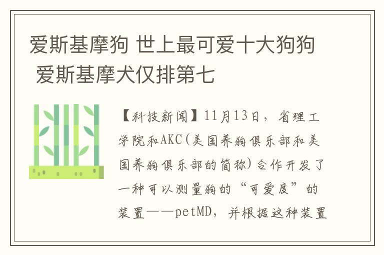 爱斯基摩狗 世上最可爱十大狗狗 爱斯基摩犬仅排第七