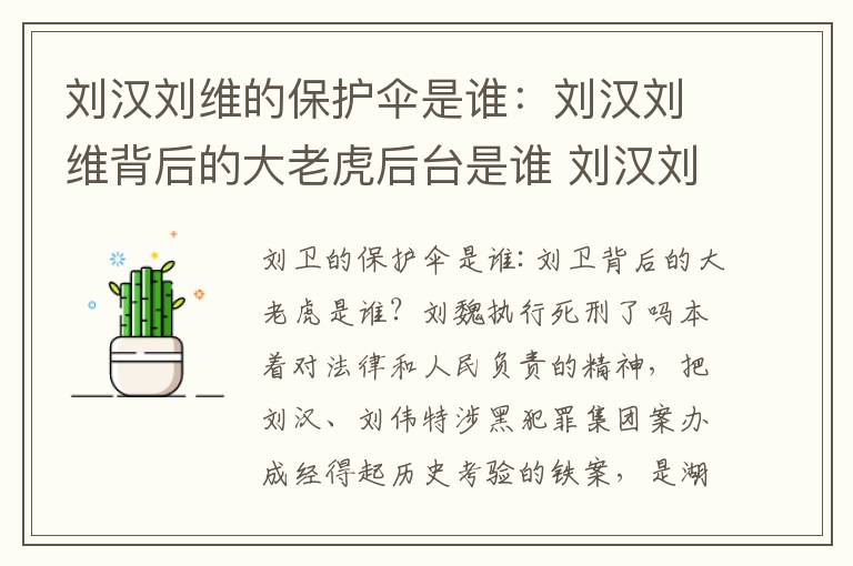 刘汉刘维的保护伞是谁：刘汉刘维背后的大老虎后台是谁 刘汉刘维死刑执行了吗